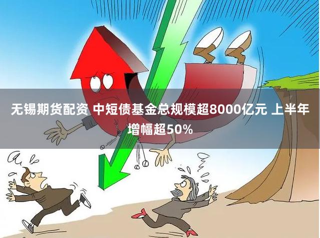 无锡期货配资 中短债基金总规模超8000亿元 上半年增幅超50%
