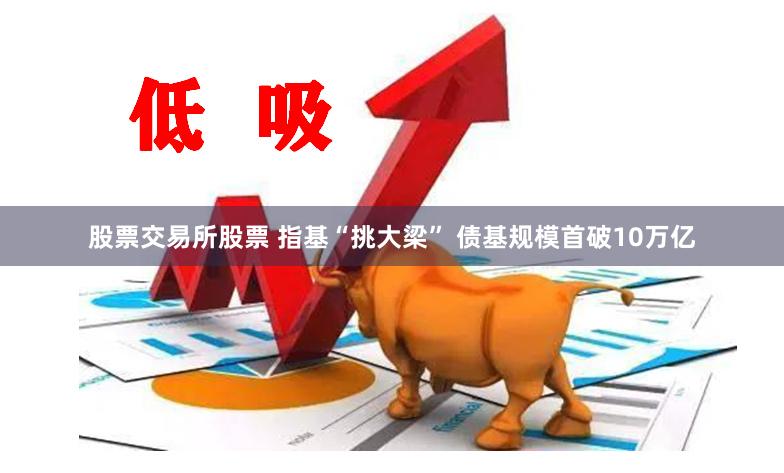 股票交易所股票 指基“挑大梁” 债基规模首破10万亿