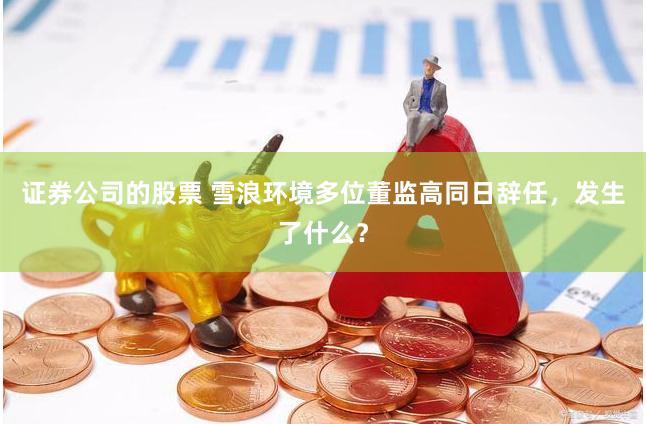 证券公司的股票 雪浪环境多位董监高同日辞任，发生了什么？