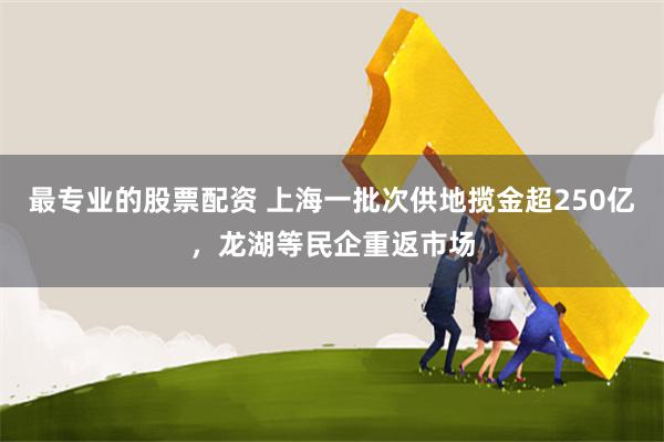 最专业的股票配资 上海一批次供地揽金超250亿，龙湖等民企重返市场