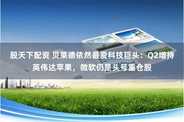 股天下配资 贝莱德依然最爱科技巨头：Q2增持英伟达苹果，微软仍是头号重仓股