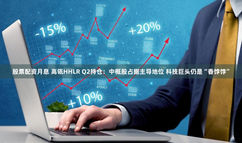 股票配资月息 高瓴HHLR Q2持仓：中概股占据主导地位 科技巨头仍是“香饽饽”