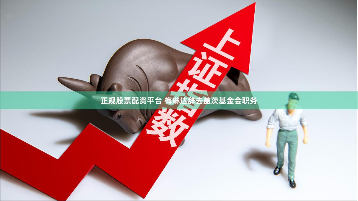 正规股票配资平台 梅琳达辞去盖茨基金会职务