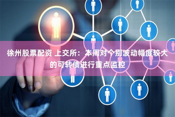徐州股票配资 上交所：本周对个别波动幅度较大的可转债进行重点监控