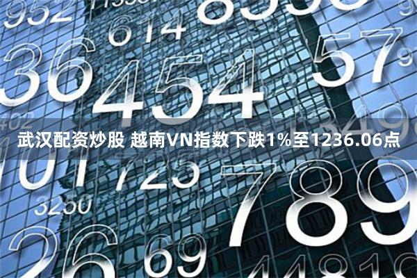 武汉配资炒股 越南VN指数下跌1%至1236.06点